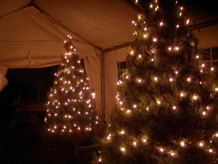 Christmas Trees for Businesses Lancaster BID